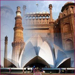 DELHI TOUR