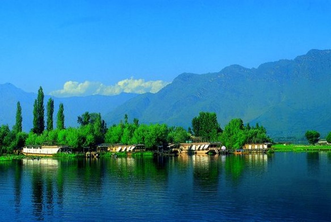 KASHMIR TOUR