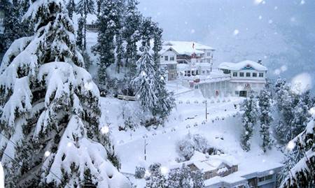 SHIMLA TOUR